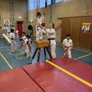www.kyokushin-delft.nl